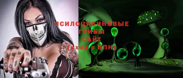 молекула духа Майский
