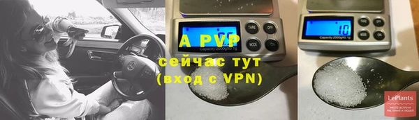 молекула духа Майский