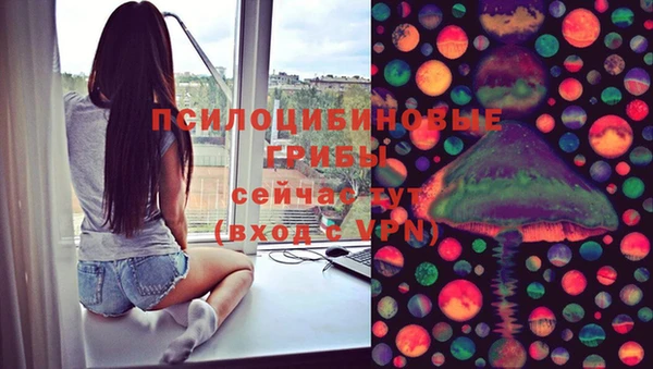 молекула духа Майский
