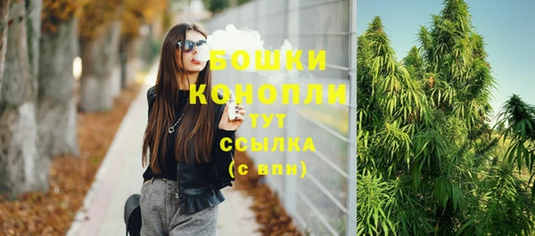 молекула духа Майский